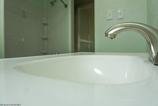 interior details with a sink and walk in shower