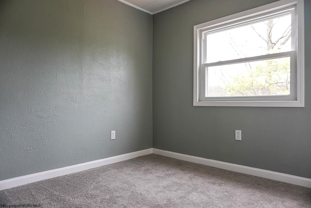 empty room with carpet floors, ornamental molding, and baseboards