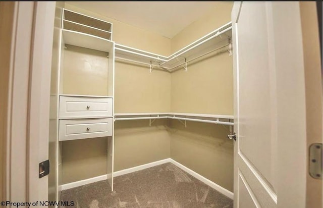 spacious closet featuring carpet floors