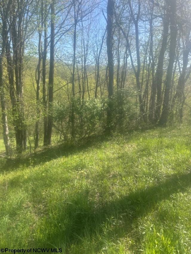 LOTS2 High Meadow Dr, Moatsville, WV 26405