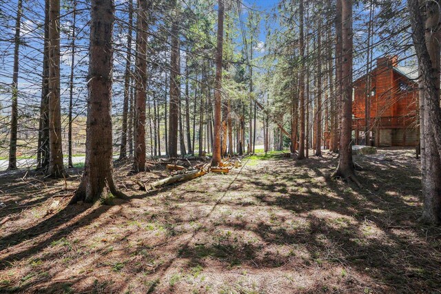 79 Pines Dr, Davis, WV 26260 - view of yard