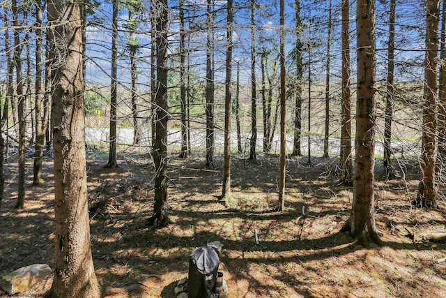 79 Pines Dr, Davis, WV 26260 - view of local wilderness