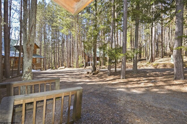 79 Pines Dr, Davis, WV 26260 - view of yard