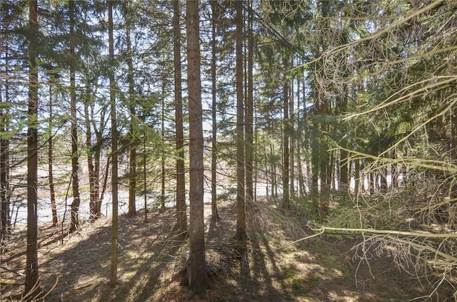 79 Pines Dr, Davis, WV 26260 - view of landscape