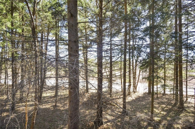 79 Pines Dr, Davis, WV 26260 - view of nature with a view of trees