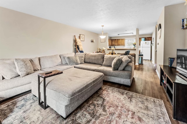 living area with a textured ceiling and wood finished floors