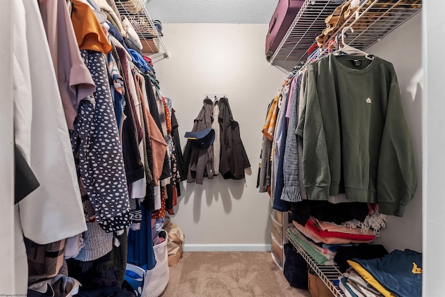walk in closet with carpet flooring