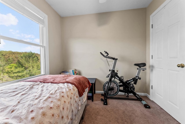 carpeted bedroom with baseboards