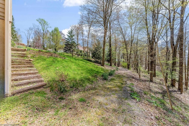 view of yard featuring stairway