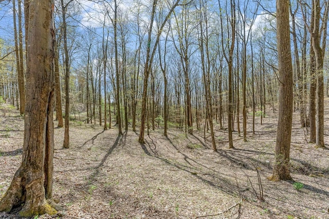 view of nature with a view of trees