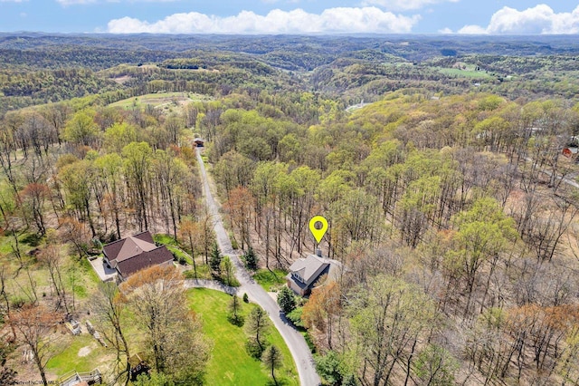 bird's eye view with a view of trees