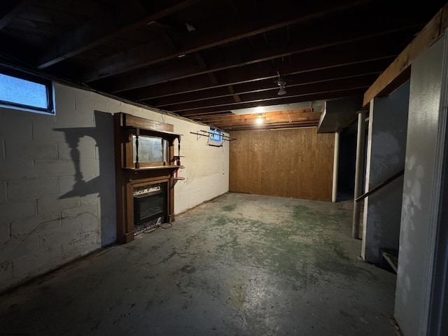 basement with concrete block wall