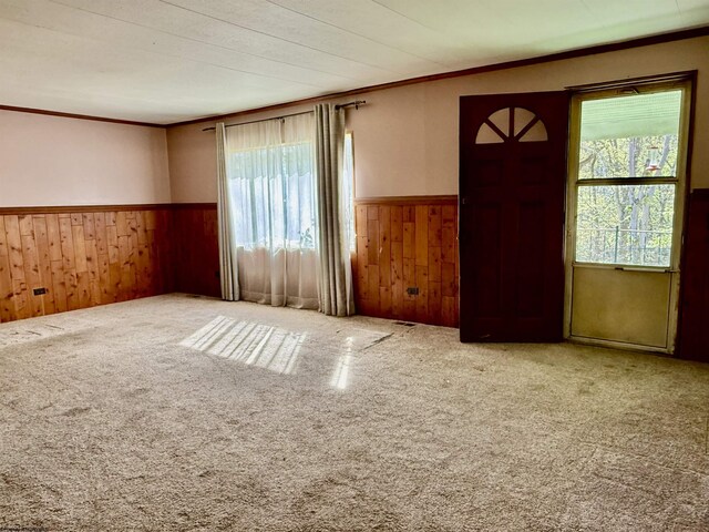 108 Toothman Run Rd, Rivesville, WV 26588 - empty room with wooden walls, wainscoting, ornamental molding, and carpet