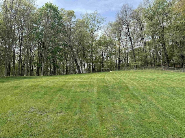 view of yard with fence and a view of trees