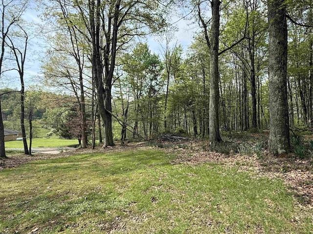 view of yard with a view of trees