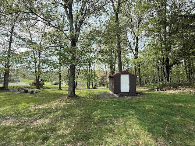 view of yard with a storage shed and an outdoor structure