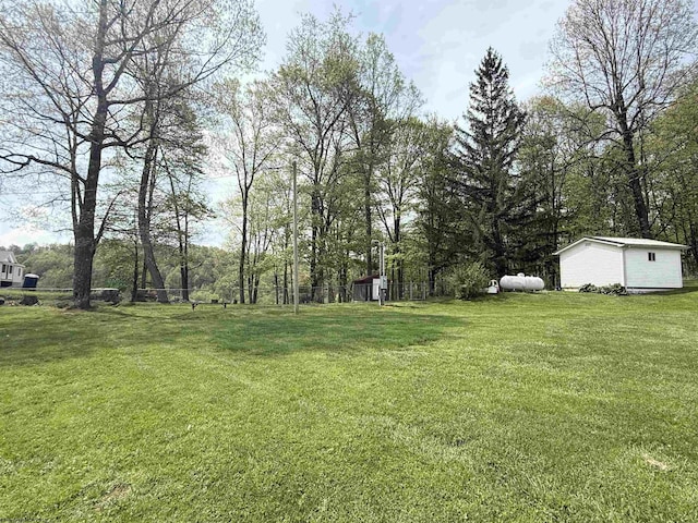 view of yard