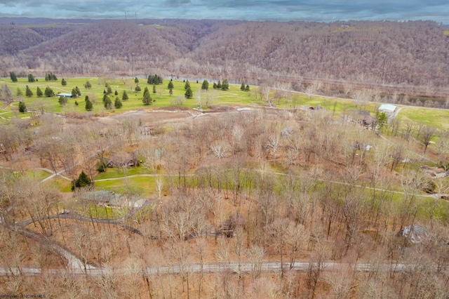 view of mountain feature with a wooded view