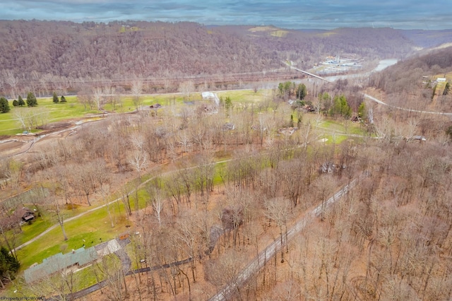drone / aerial view featuring a mountain view