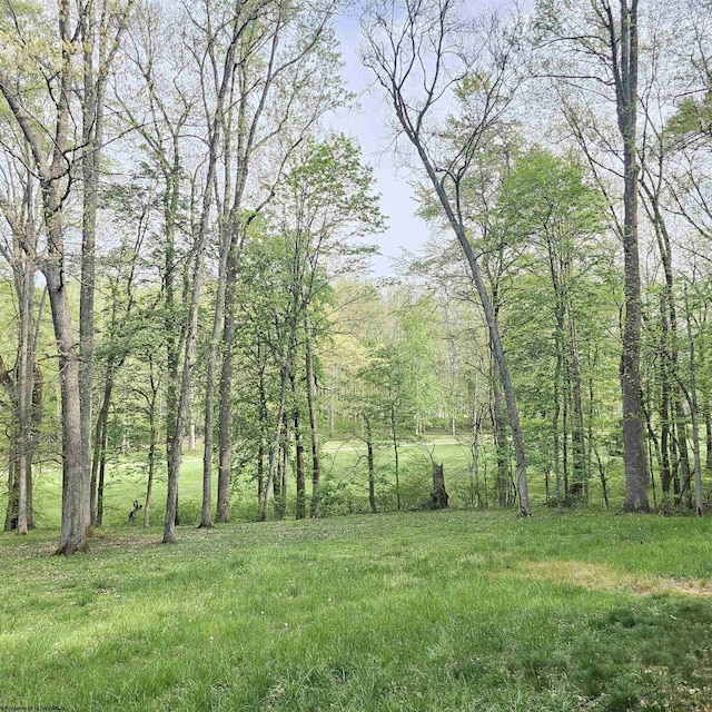 view of yard featuring a forest view