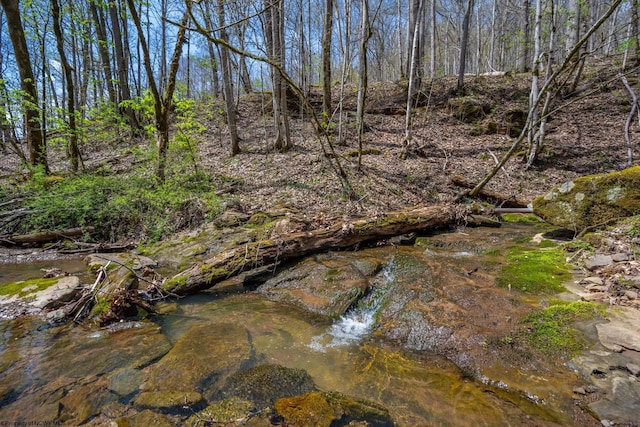 7913 Wv Highway 5 E E, Glenville, WV 26430