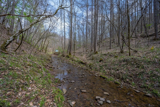 7913 Wv Highway 5 E E, Glenville, WV 26430