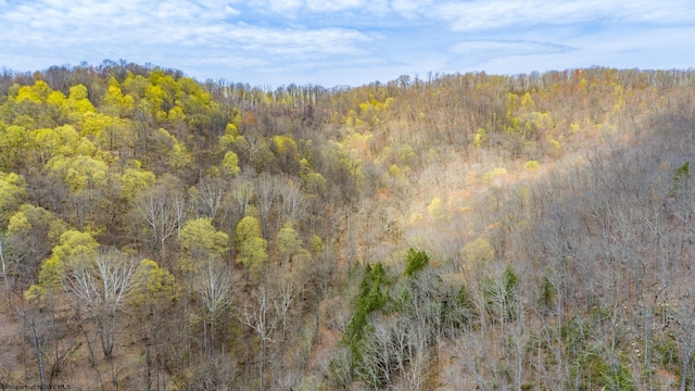 7913 Wv Highway 5 E E, Glenville, WV 26430