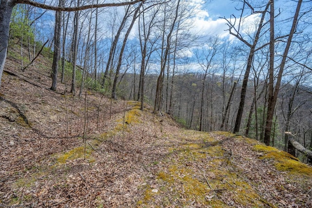 7913 Wv Highway 5 E E, Glenville, WV 26430