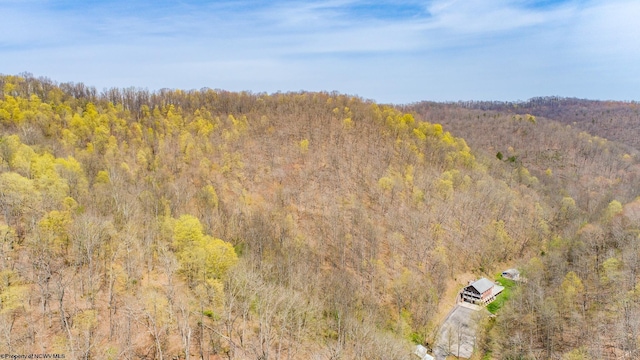 7913 Wv Highway 5 E E, Glenville, WV 26430