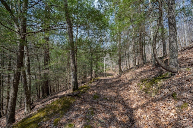 7913 Wv Highway 5 E E, Glenville, WV 26430