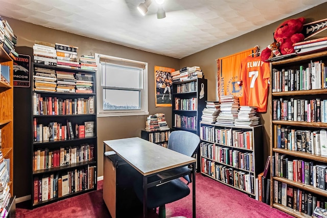 210 Rosedale Hill Rd, Maidsville, WV 26541 - carpeted office featuring ceiling fan and bookshelves