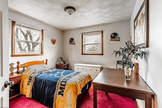 210 Rosedale Hill Rd, Maidsville, WV 26541 - carpeted bedroom with multiple windows