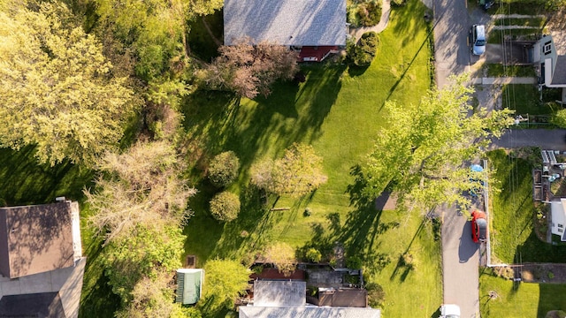 drone / aerial view