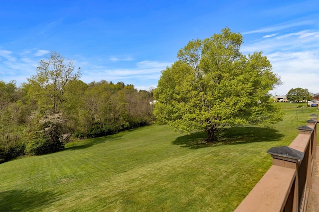 view of yard