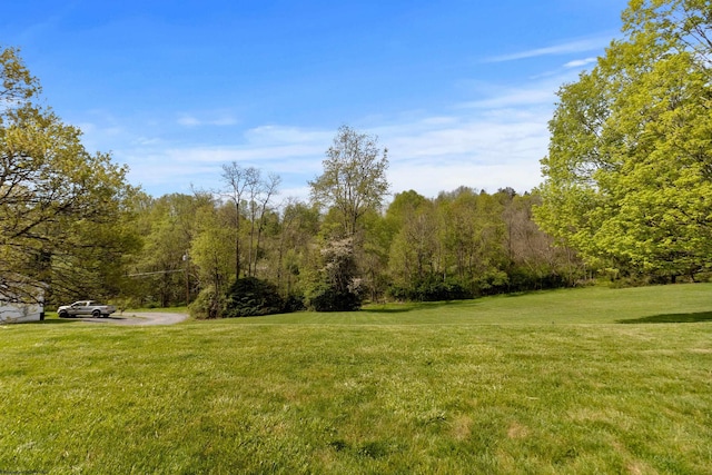 view of yard with a view of trees