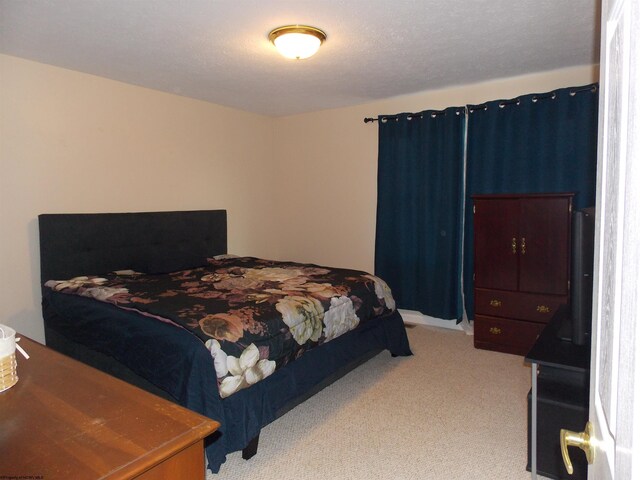 260 Donna Ave, Morgantown, WV 26505 - bedroom with light carpet