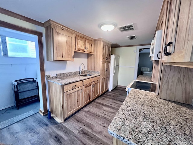 kitchen featuring freestanding refrigerator, dark wood-type flooring, range with electric cooktop, and a sink