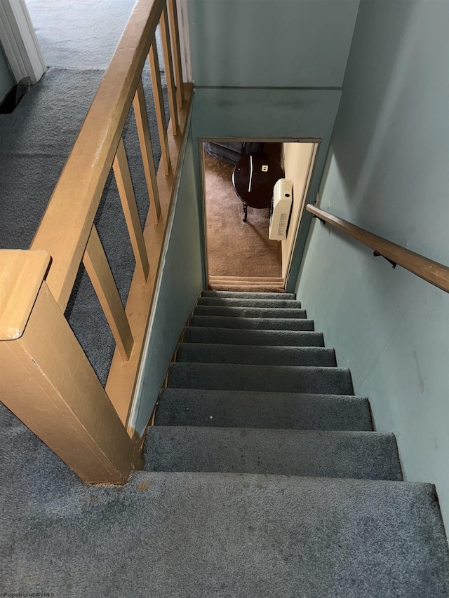 stairs featuring carpet floors