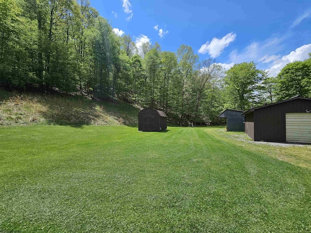 1368 Red Lick Run, New Milton, WV 26411 - view of yard with an outdoor structure and a storage unit