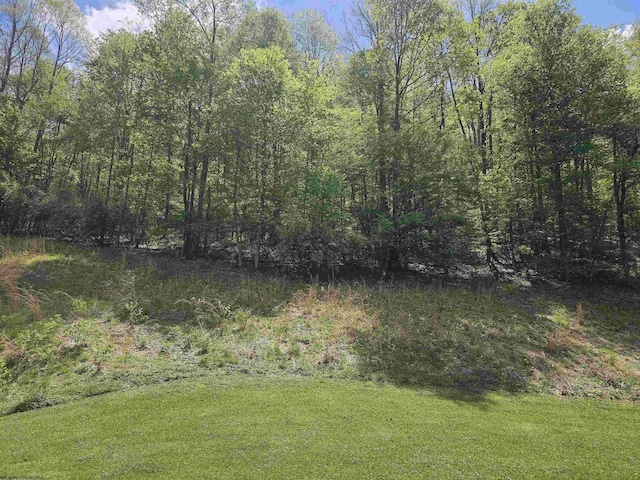 1368 Red Lick Run, New Milton, WV 26411 - view of yard with a wooded view