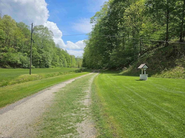 1368 Red Lick Run, New Milton, WV 26411 - view of street