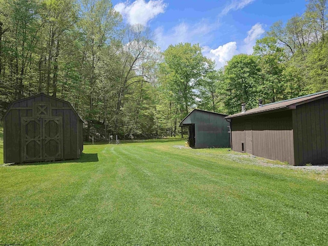1368 Red Lick Run, New Milton, WV 26411 - view of yard featuring a storage shed and an outbuilding