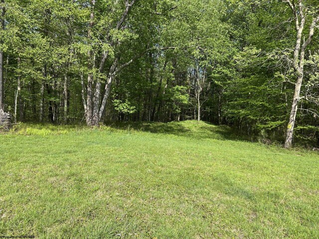 TBD Mcnair Rd, Albright, WV 26519