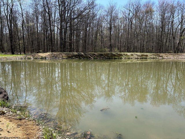 TBD Mcnair Rd, Albright, WV 26519