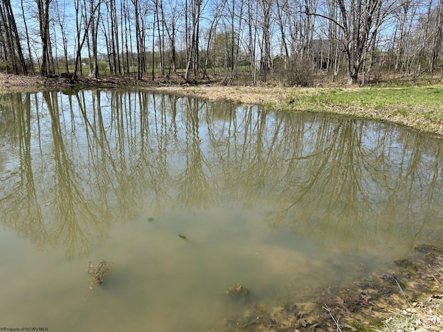 TBD Mcnair Rd, Albright, WV 26519