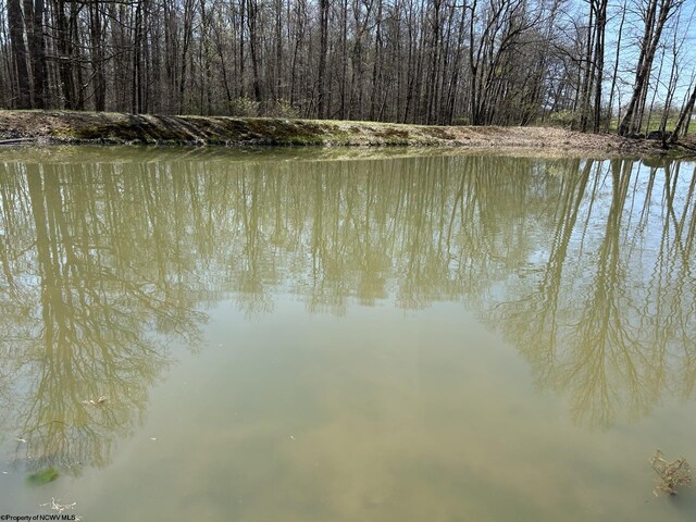 TBD Mcnair Rd, Albright, WV 26519