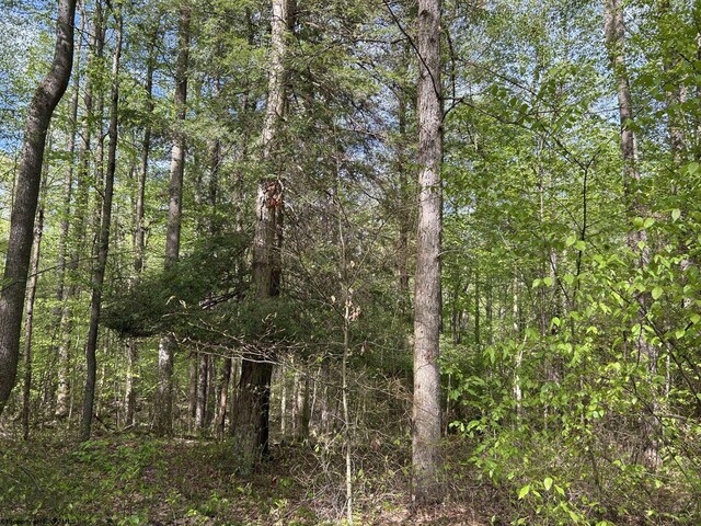 TBD Mcnair Rd, Albright, WV 26519