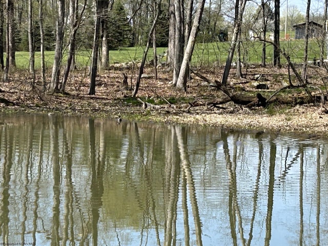 TBD Mcnair Rd, Albright, WV 26519