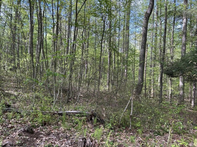 TBD Mcnair Rd, Albright, WV 26519