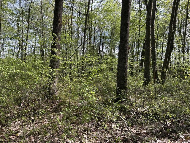 TBD Mcnair Rd, Albright, WV 26519
